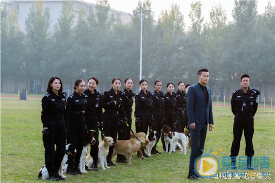 警花与警犬剧照