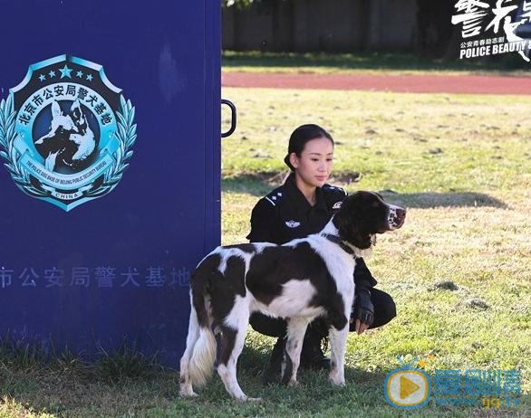 警花与警犬剧照