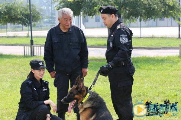 警花与警犬剧照