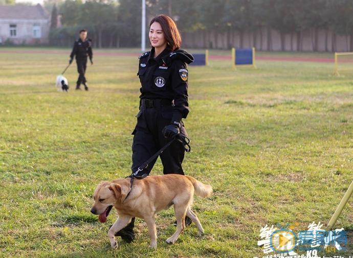 警花與警犬劇照