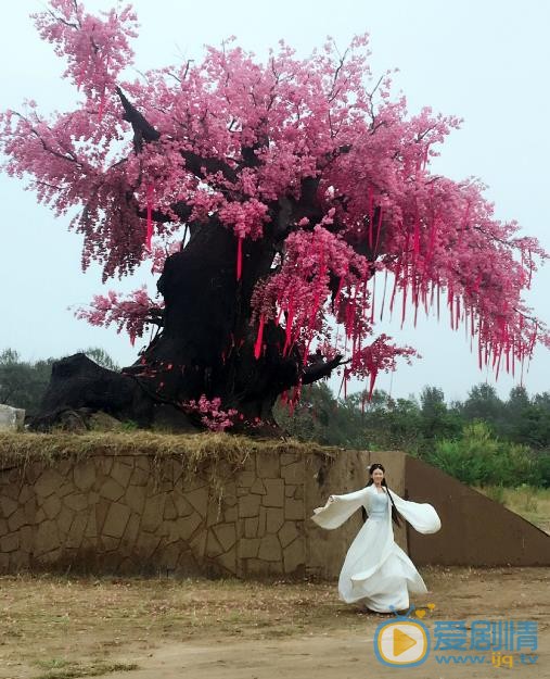 十里桃花后传剧情介绍(1-24集大结局)