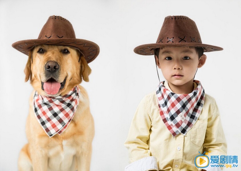 神犬小七2神犬小七小七剧照