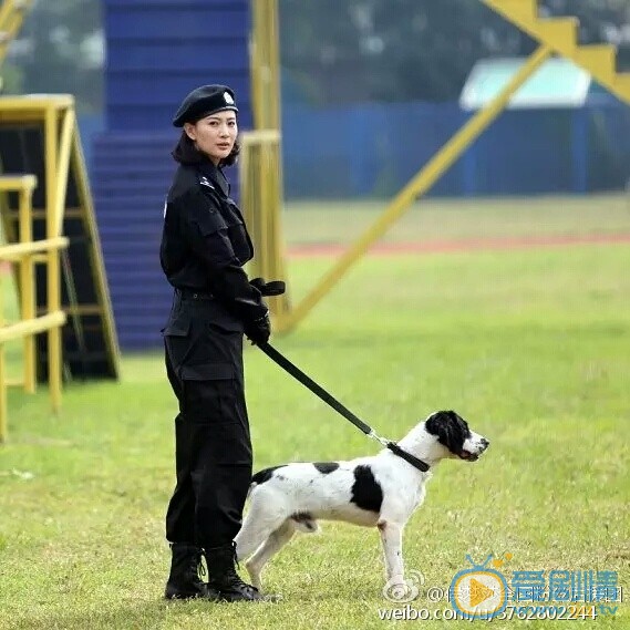 警花与警犬剧照