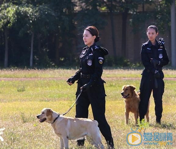 警花与警犬剧照