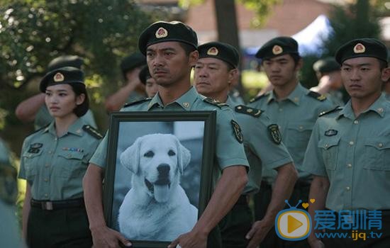 刘金龙《神犬奇兵》剧照 神犬奇兵剧照