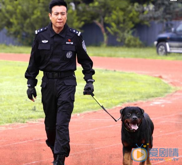 警花与警犬剧照