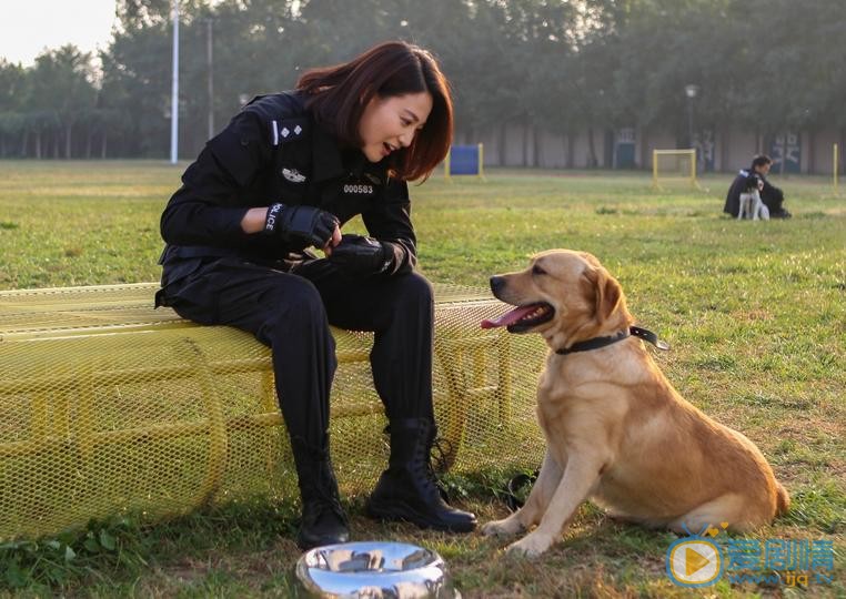 警花与警犬剧照