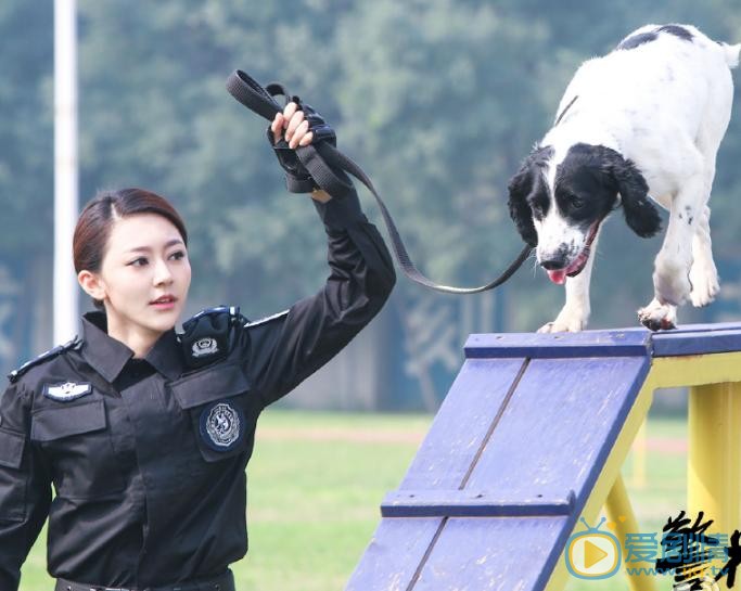 警花与警犬剧照