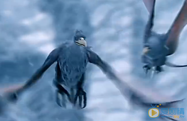 幻城霰雪鸟是一种什么鸟？盘点幻城中的神兽都有哪些？
