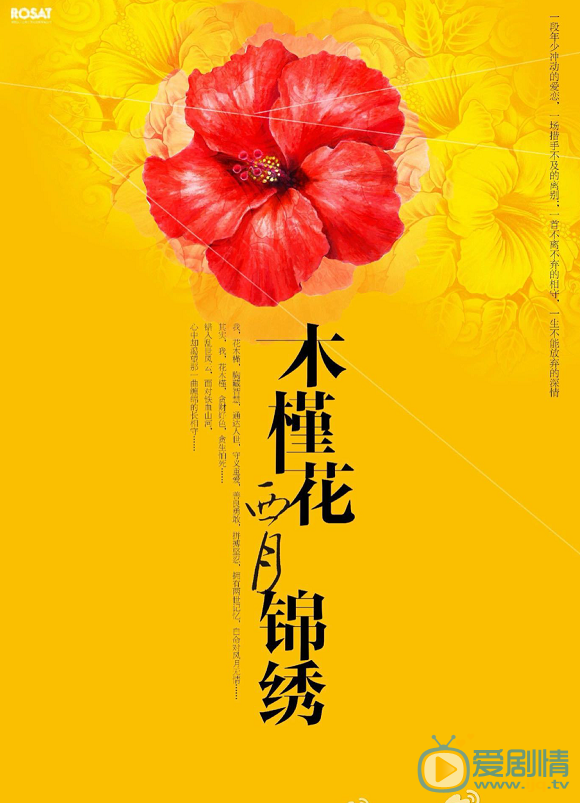 木槿花西月锦绣什么时间播_木槿花西月锦绣播出时间