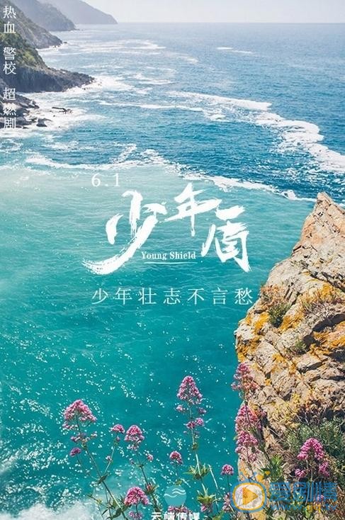 少年盾海报