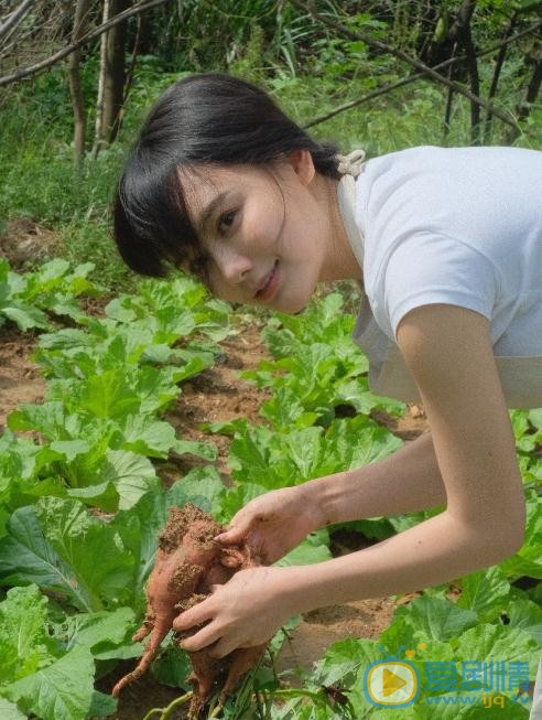 楚乔传兰淑仪兰儿是谁？楚乔传兰淑仪兰儿扮演者南笙个人资料、写真及生活照欣赏