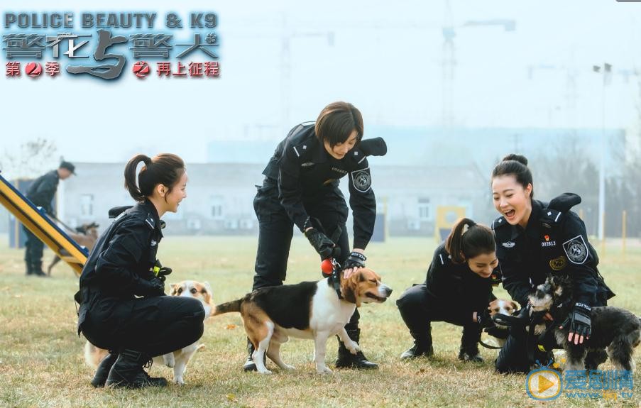 警花与警犬之再上征程剧照