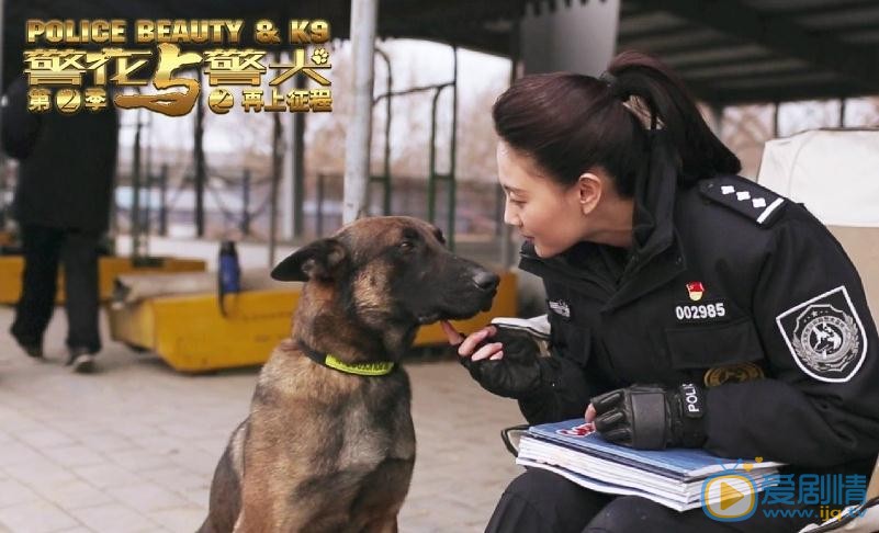 警花与警犬之再上征程片场照