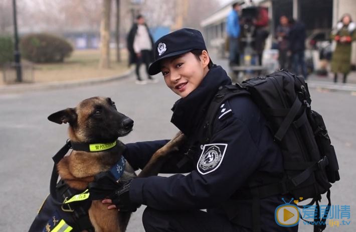 警花与警犬之再上征程剧照