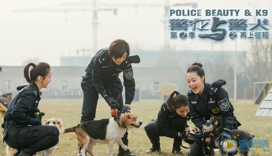 警花与警犬之再上征程剧照