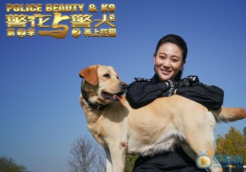 警花与警犬之再上征程剧照