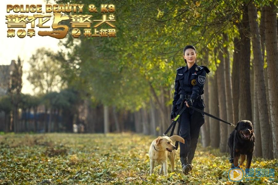 警花与警犬之再上征程剧照