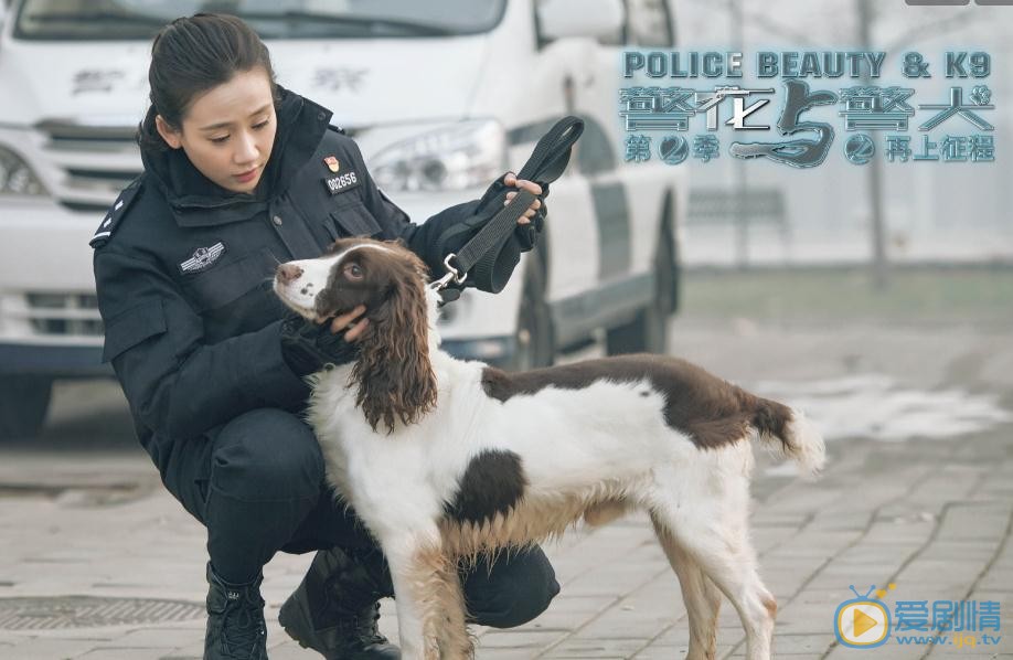 警花与警犬之再上征程剧照