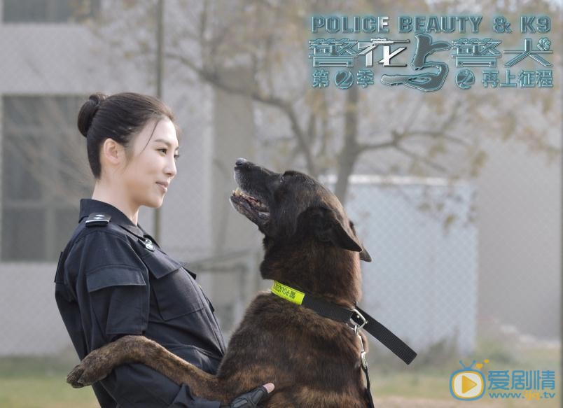 警花与警犬之再上征程剧照