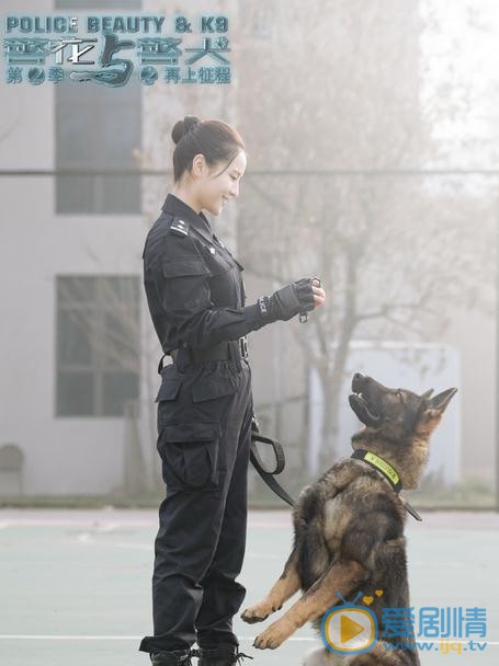 警花与警犬之再上征程剧照