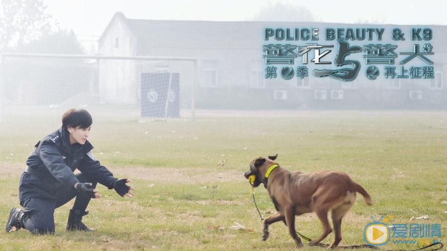 警花与警犬之再上征程剧照