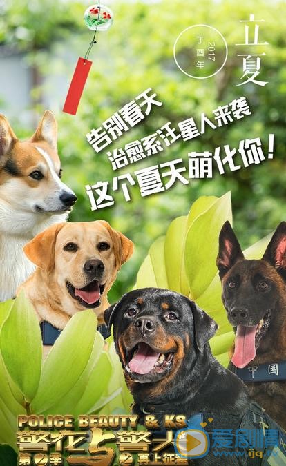 警花与警犬之再上征程海报