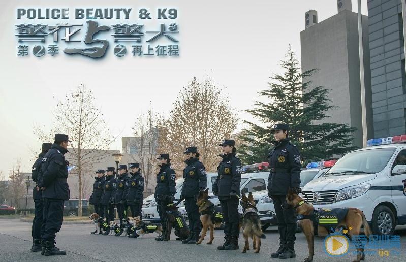 警花与警犬之再上征程剧照