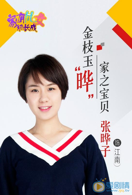 家有儿女初长成海报