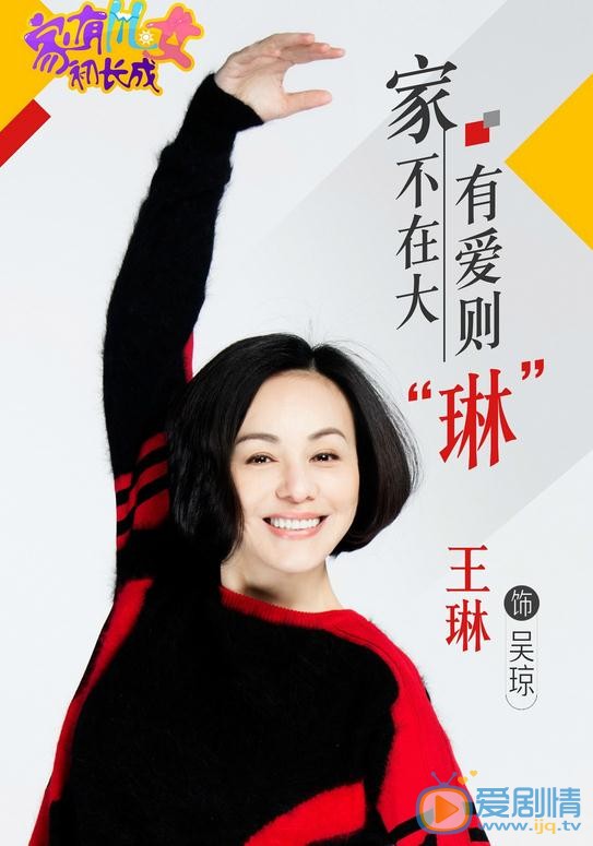 家有儿女初长成海报