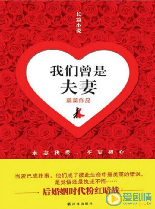 我们曾是夫妻剧情介绍 我们曾是夫妻海报